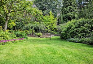 Optimiser l'expérience du jardin à Vauconcourt-Nervezain