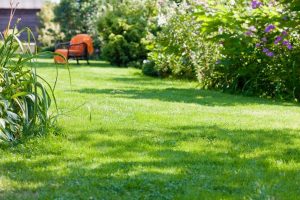 travaux jardin et paysage Vauconcourt-Nervezain